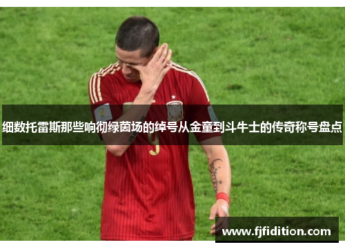 细数托雷斯那些响彻绿茵场的绰号从金童到斗牛士的传奇称号盘点